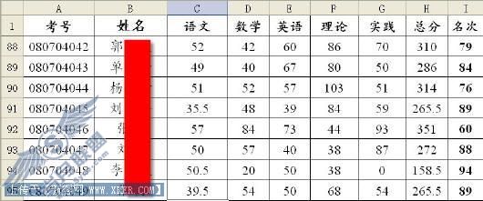 图1 WPS表格实例