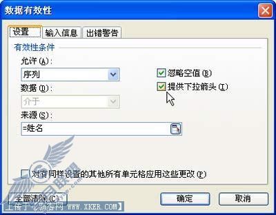 图4 设置数据有效性