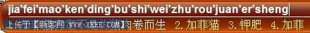 输入法 输入无极限最常用五款拼音输入法横评(10)