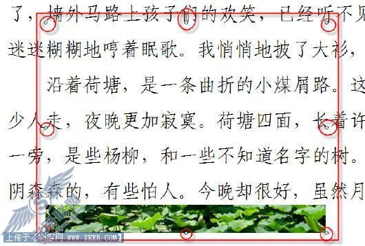 WPS巧设行间距 揭开图片被吃掉之迷