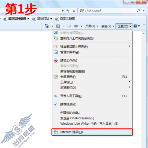 IE问题的通用解决之道