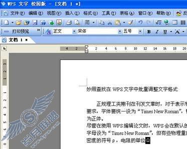WPS文字用查找批量调整文字格式【图】_