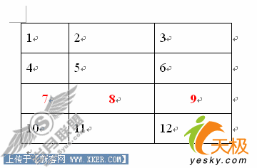 Word表格中Shift+Alt+方向键的妙用