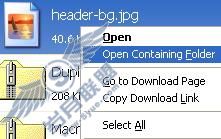 Firefox 3.0�����ʮ��������չʾ