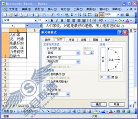 技巧75 单元格里的文字换行_Excel实战技巧精粹