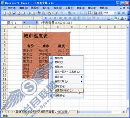 技巧76 工作表背景图片的妙用_Excel实战技巧精粹