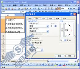 技巧75 单元格里的文字换行_Excel实战技巧精粹