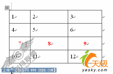 Word表格中Shift+Alt+方向键的妙用