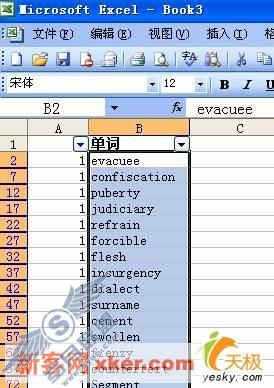 Excel技巧