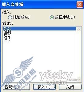 Word邮件合并应用实例:批量制作有照片的工作证4