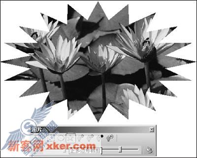 请添加描述