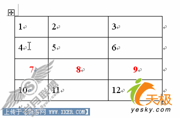 Word表格中Shift+Alt+方向键的妙用