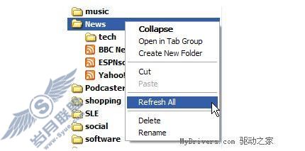 IE7Beta3RSS阅读功能不完全图文解说