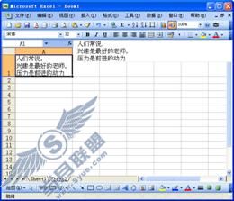 技巧75 单元格里的文字换行_Excel实战技巧精粹