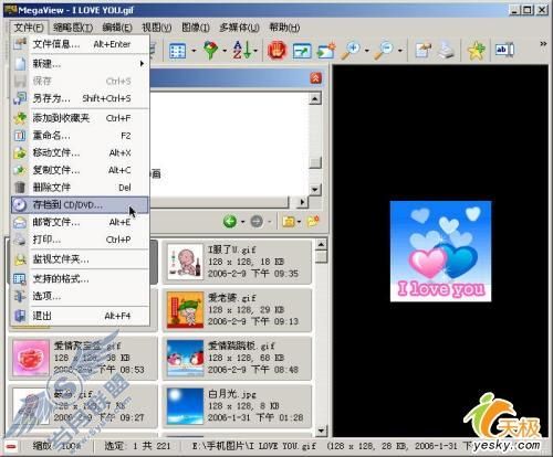 文件浏览的独门暗器MegaView试用手记(4)