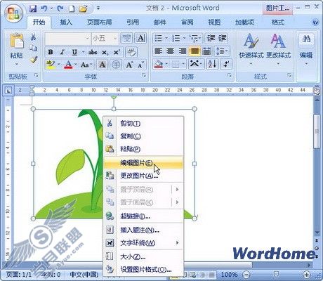 在Word 2007文档中编辑剪贴画