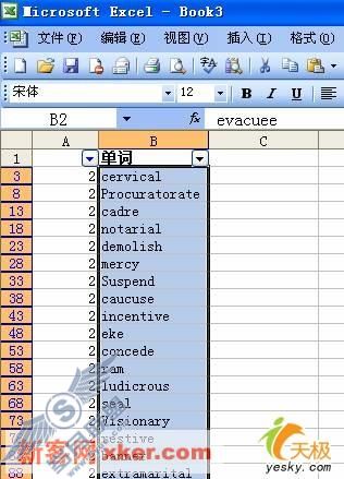Excel技巧