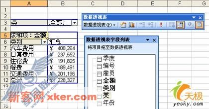包含类别和费用总计数据透视表