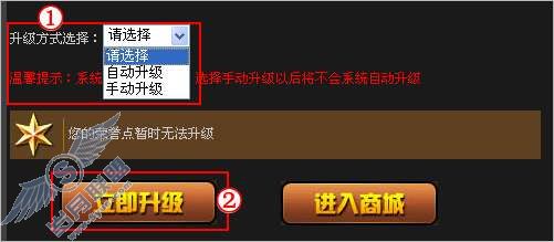 穿越火线如何取消图标自动升级?
