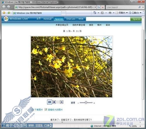MSN助你变身春日焦点之:照片分享篇 MSN助你变身春日焦点之:照片分享篇