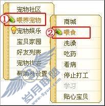 企鹅如何喂食?【图】_