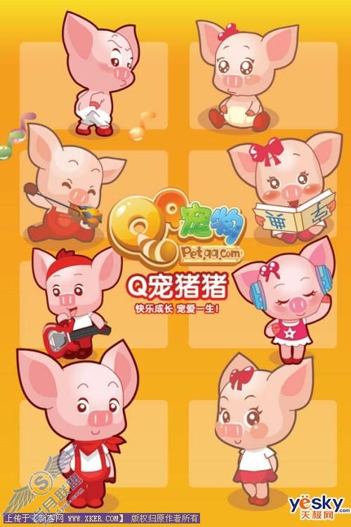 QQ宠物猪猪