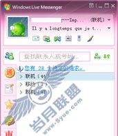 MSN使用技巧之:化繁为简 巧数好友总数 MSN使用技巧之:化繁为简 巧数好友总数