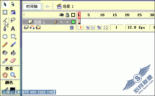 娃娃头