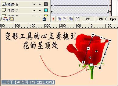 Flash制作娇艳盛放玫瑰情人贺卡