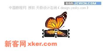 Flash制作实例教程:蝶恋花【图】_