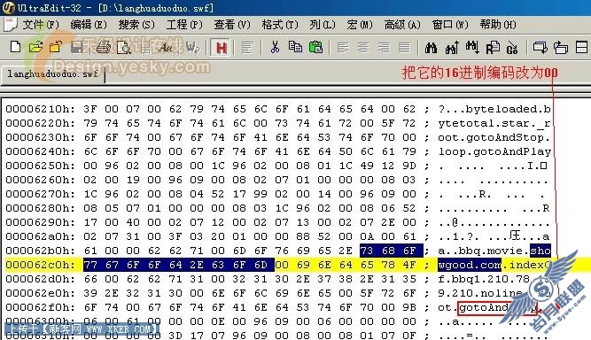 巧妙去除Flash动画在线播放限制