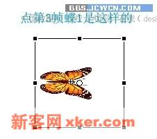 Flash制作实例教程:蝶恋花【图】_