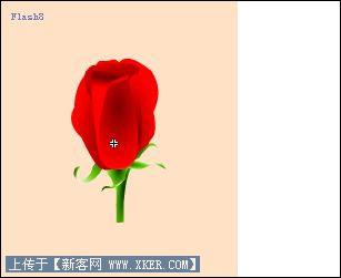 Flash制作娇艳盛放玫瑰情人贺卡