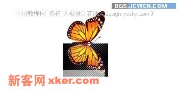 Flash制作实例教程:蝶恋花【图】_