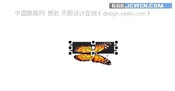 Flash制作实例教程:蝶恋花【图】_