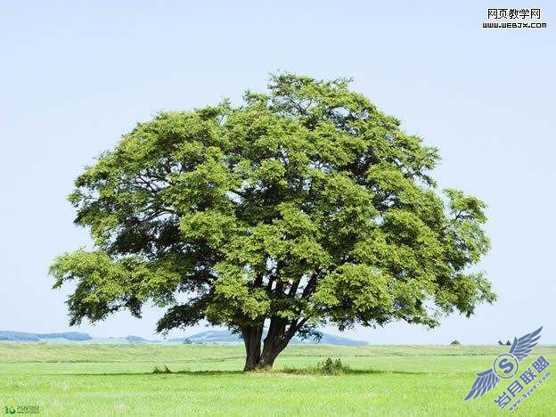 Photoshop合成制作正努力思考的意境图【图】_新客网