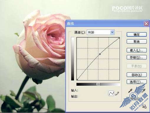 Photoshop调色出紫红色玫瑰花教程【图】_新客网