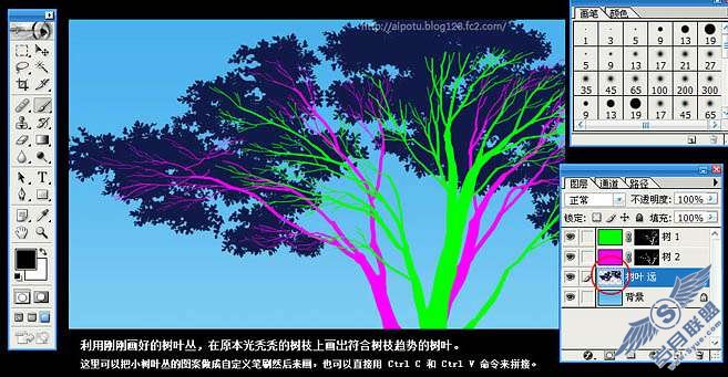 Photoshop鼠绘逼真的古树插画【图】_新客网