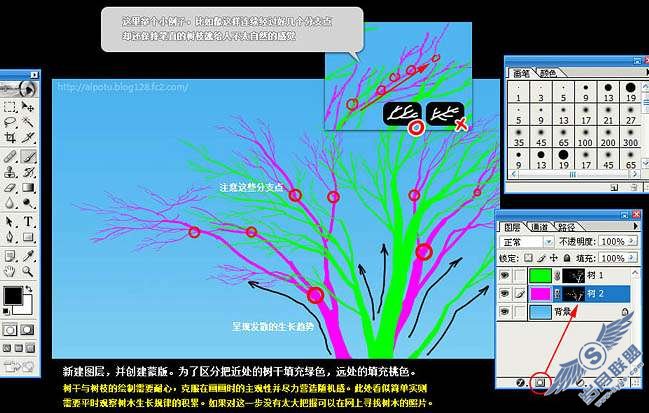 Photoshop鼠绘逼真的古树插画【图】_新客网