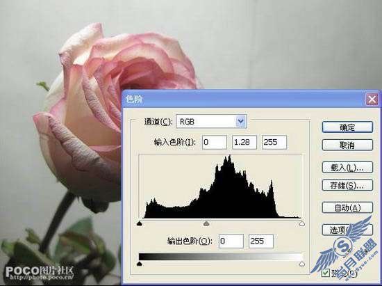 Photoshop调色出紫红色玫瑰花教程【图】_新客网