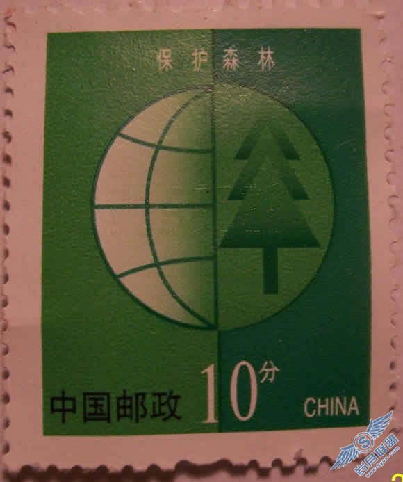 诺基亚6303与相机比微距【图】