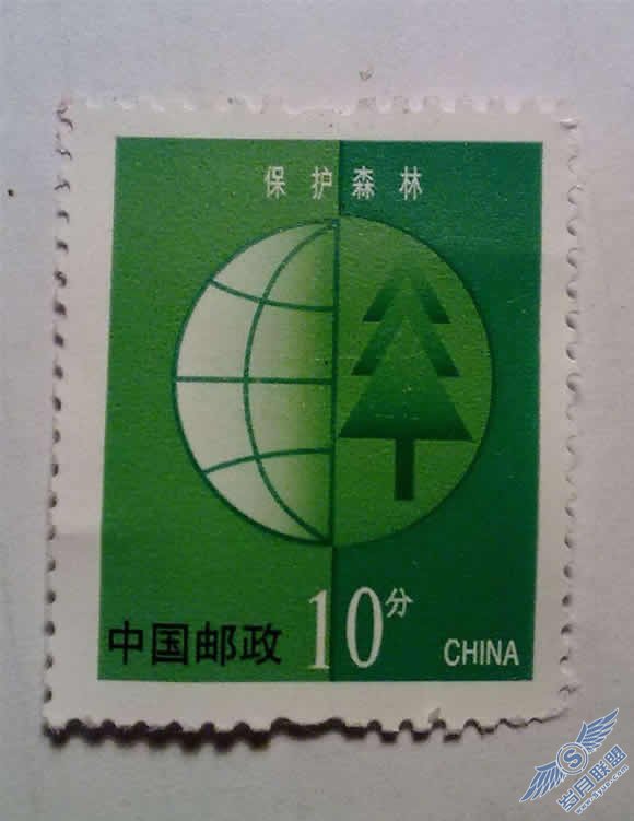 诺基亚6303与相机比微距【图】