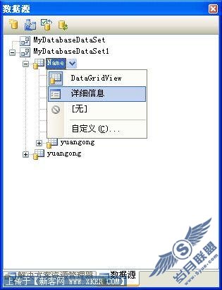 用VB.net2008编写数据查询窗体