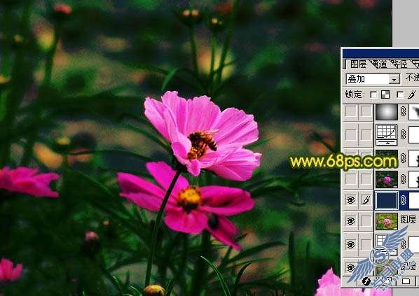 Photoshop调色:暗调花朵照片