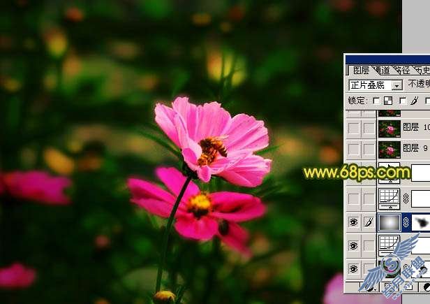 Photoshop调色:暗调花朵照片