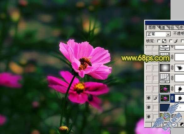 Photoshop调色:暗调花朵照片