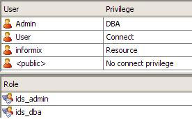 使用基于 Informix Dynamic Server 的 Server Studio JE