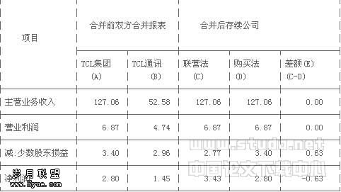 TCL集团合并会计方法选择的财务效应