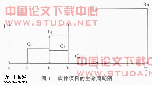 软件项目开发的投资决策分析