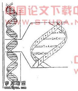指纹技术在侦察破案中的应用
